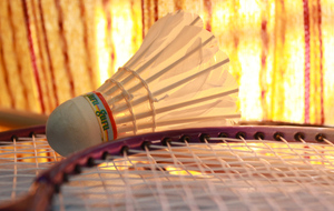 Blackminton à Magny-les-hameaux